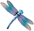 Symbol Ważka
